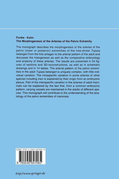 Produktbild: The Morphogenesis of the Arteries of the Pelvic Extremity