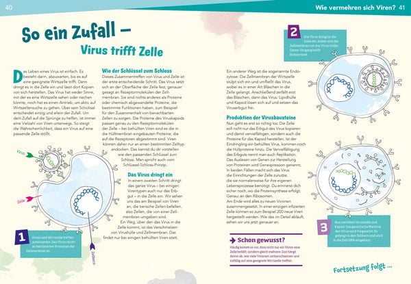 Produktbild: WAS IST WAS Naturwissenschaften easy! Biologie. Die Viren und wir
