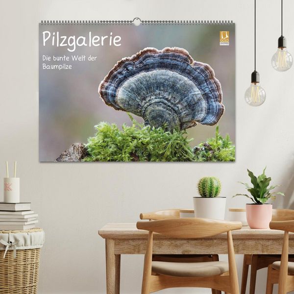 Produktbild: Pilzgalerie - Die bunte Welt der Baumpilze (Wandkalender 2026 DIN A2 quer), CALVENDO Monatskalender