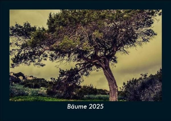 Produktbild: B&auml;ume 2025 Fotokalender DIN A5