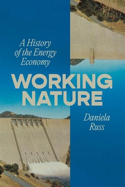 Working Nature, Taschenbuch von Daniela Russ, Verso Books, 9781804298978