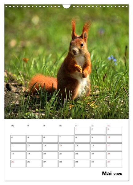 Produktbild: Heimische Wildtiere Terminplaner (Wandkalender 2026 DIN A3 hoch), CALVENDO Monatskalender