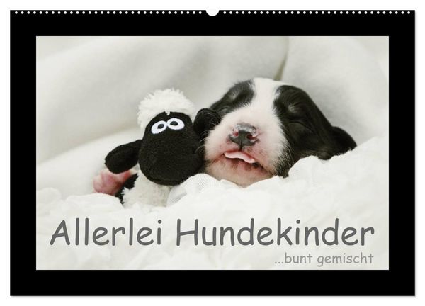 Produktbild: Allerlei Hundekinder (Wandkalender 2026 DIN A2 quer), CALVENDO Monatskalender