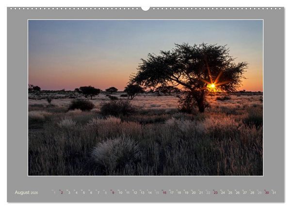 Produktbild: Namibia - Die Farben der Namib (hochwertiger Premium Wandkalender 2026 DIN A2 quer), Kunstdruck in Hochglanz