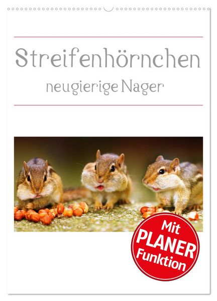 Produktbild: Streifenh&ouml;rnchen - neugierige Nager (Wandkalender 2026 DIN A2 hoch), CALVENDO Monatskalender