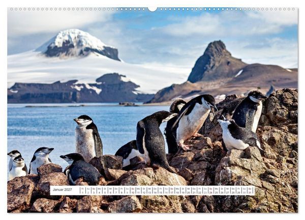 Produktbild: Expedition Antarktis (hochwertiger Premium Wandkalender 2027 DIN A2 quer), Kunstdruck in Hochglanz