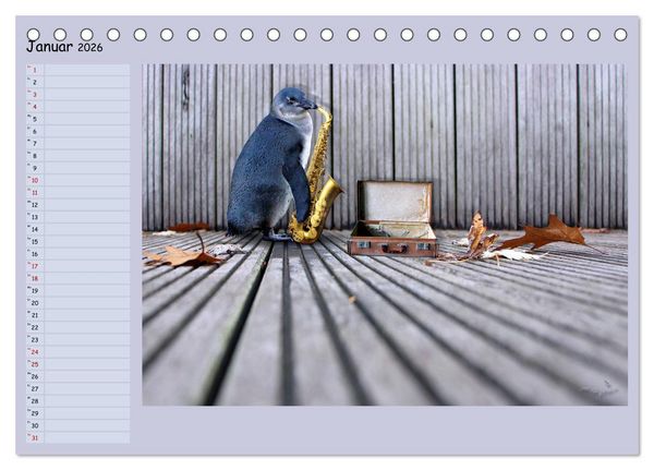 Produktbild: Pinguine privat Planer (Tischkalender 2026 DIN A5 quer), CALVENDO Monatskalender