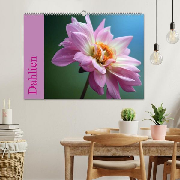 Produktbild: Dahlien (Wandkalender 2026 DIN A2 quer), CALVENDO Monatskalender