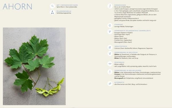 Produktbild: B&auml;ume und Str&auml;ucher vor deiner Haust&uuml;r