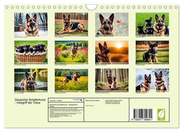 Produktbild: Deutscher Sch&auml;ferhund - Inbegriff der Treue (Wandkalender 2026 DIN A4 quer), CALVENDO Monatskalender