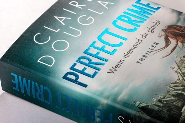 Perfect Crime - Wenn niemand dir glaubt
