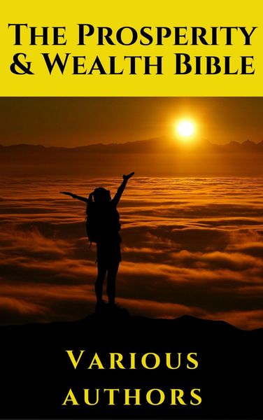 Produktbild: The Prosperity & Wealth Bible