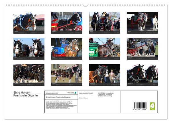 Produktbild: Shire Horse &bull; Prunkvolle Giganten (hochwertiger Premium Wandkalender 2026 DIN A2 quer), Kunstdruck in Hochglanz