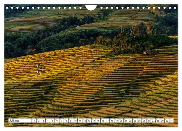 Produktbild: Indonesien - Inselparadies Flores & Komodo (Wandkalender 2026 DIN A4 quer), CALVENDO Monatskalender