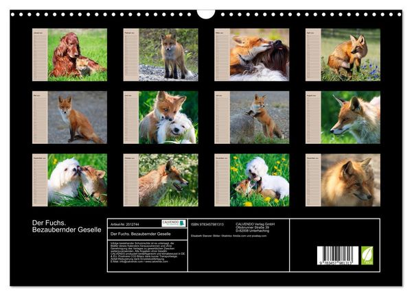 Produktbild: Der Fuchs. Bezaubernder Geselle (Wandkalender 2026 DIN A3 quer), CALVENDO Monatskalender