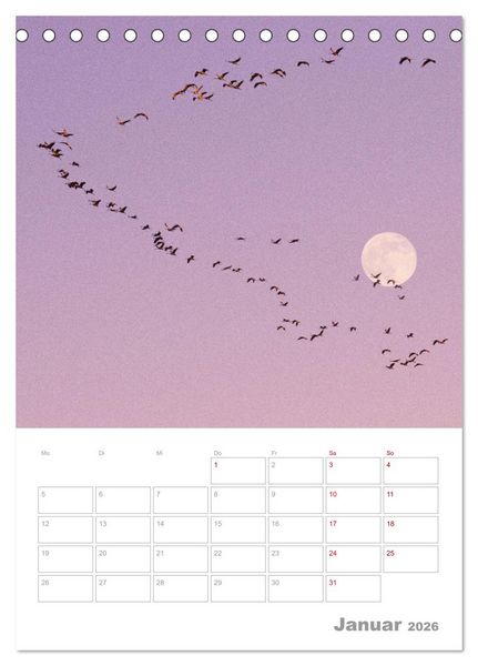 Produktbild: VOLLMOND-Planer - Im Licht der Nacht (Tischkalender 2026 DIN A5 hoch), CALVENDO Monatskalender