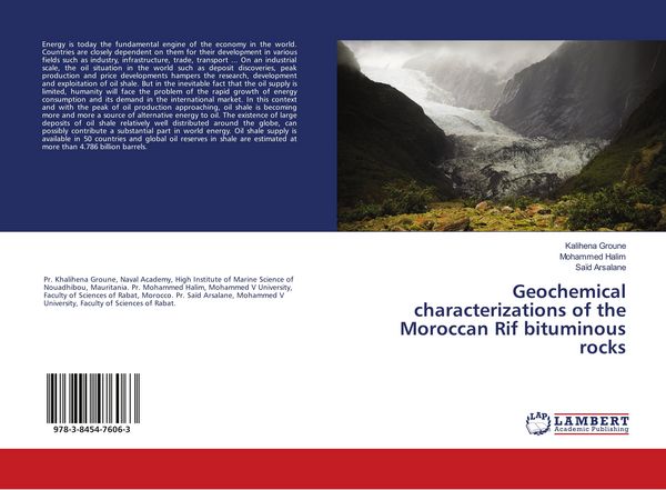 Produktbild: Geochemical characterizations of the Moroccan Rif bituminous rocks