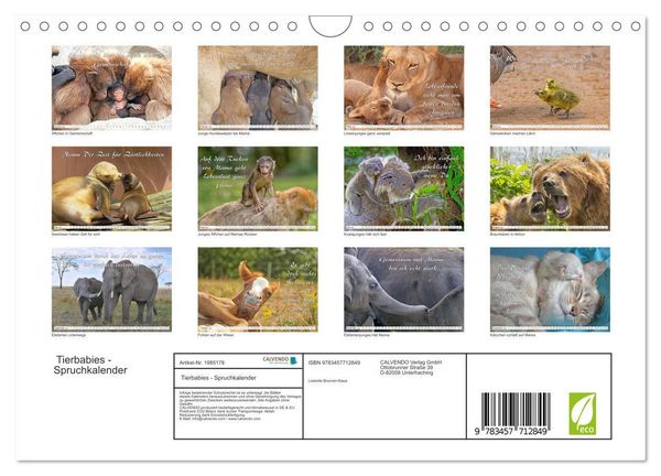 Produktbild: Tierbabies - Spruchkalender (Wandkalender 2026 DIN A4 quer), CALVENDO Monatskalender