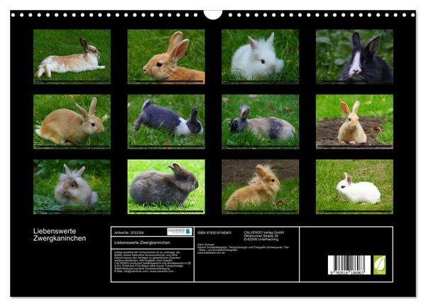Produktbild: Liebenswerte Zwergkaninchen (Wandkalender 2026 DIN A3 quer), CALVENDO Monatskalender