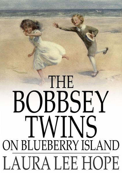 Produktbild: Bobbsey Twins on Blueberry Island