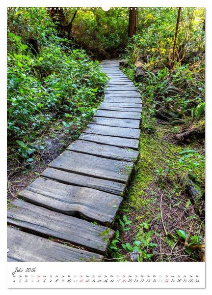 Produktbild: Weltnaturerbe Olympic National Park (hochwertiger Premium Wandkalender 2026 DIN A2 hoch), Kunstdruck in Hochglanz