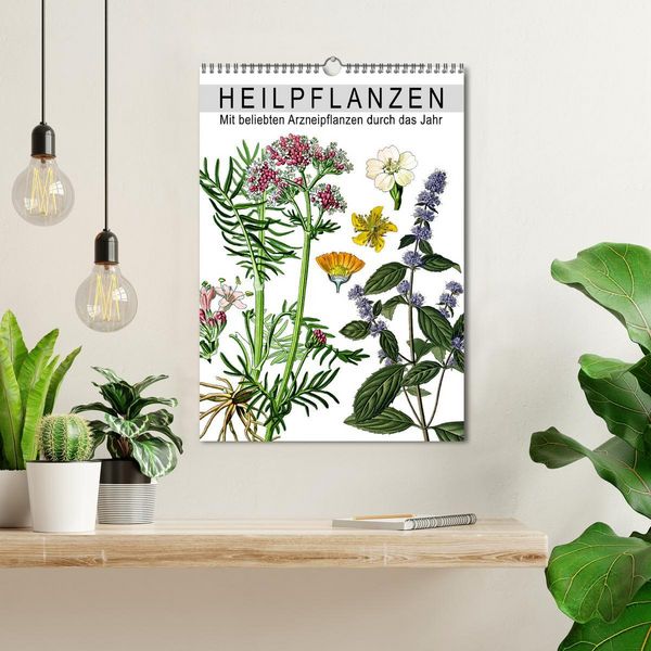 Produktbild: Heilpflanzen (Wandkalender 2026 DIN A3 hoch), CALVENDO Monatskalender