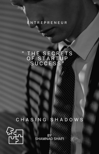Produktbild: The secrets of startups success