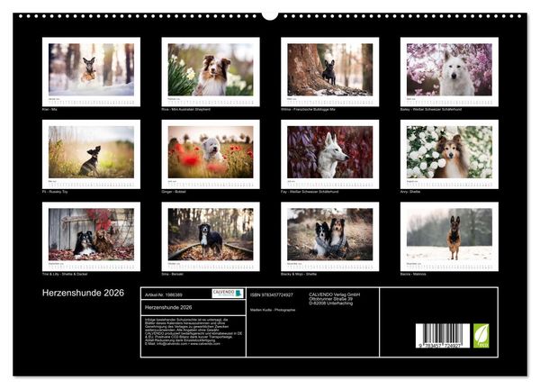 Produktbild: Herzenshunde 2026 (hochwertiger Premium Wandkalender 2026 DIN A2 quer), Kunstdruck in Hochglanz