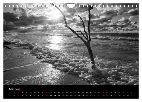 Produktbild: Strandspaziergang an der Ostsee (Wandkalender 2026 DIN A4 quer), CALVENDO Monatskalender