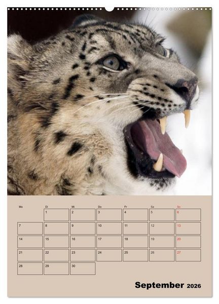 Produktbild: Gro&szlig;katzen. Raubkatzengesichter (Wandkalender 2026 DIN A2 hoch), CALVENDO Monatskalender