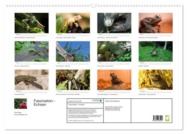 Produktbild: Faszination - Echsen (Wandkalender 2026 DIN A2 quer), CALVENDO Monatskalender