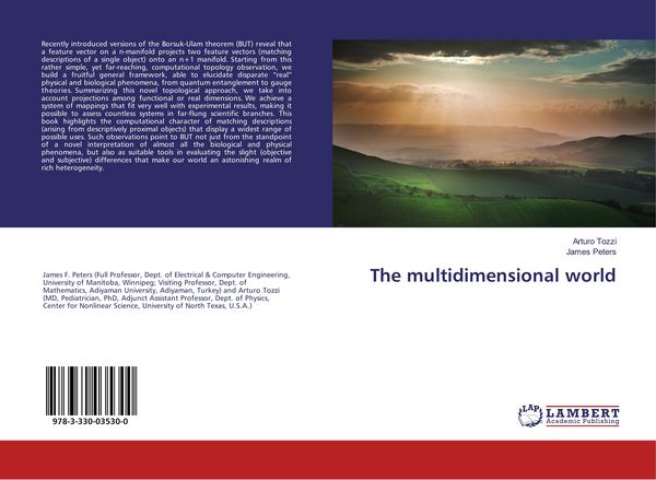 Produktbild: The multidimensional world