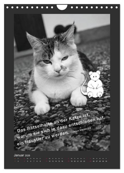 Produktbild: Katz & Maus (Wandkalender 2026 DIN A4 hoch), CALVENDO Monatskalender