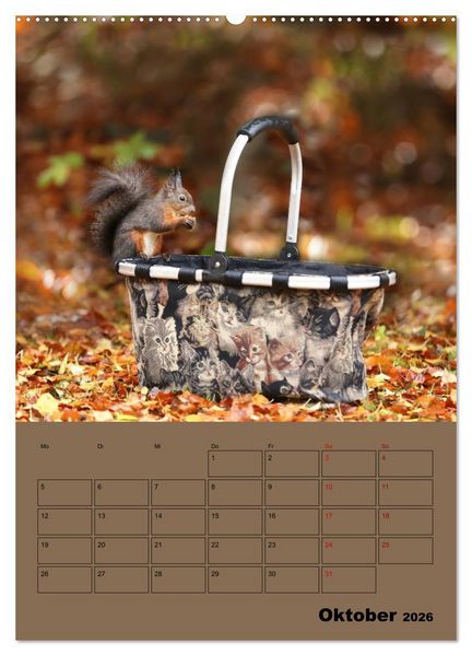 Produktbild: Eichh&ouml;rnchen - Planer (hochwertiger Premium Wandkalender 2026 DIN A2 hoch), Kunstdruck in Hochglanz