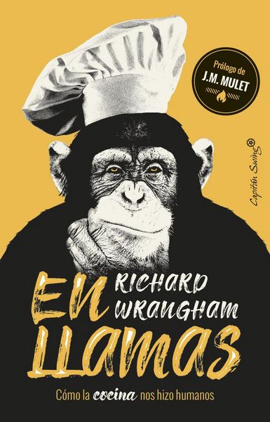 Produktbild: En llamas : c&oacute;mo la cocina nos hizo humanos