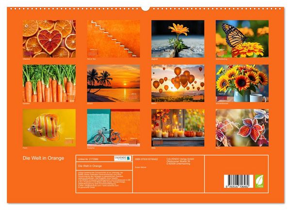 Produktbild: Die Welt in Orange (hochwertiger Premium Wandkalender 2026 DIN A2 quer), Kunstdruck in Hochglanz