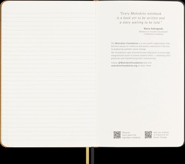 Produktbild: Moleskine Das Jahr des Drachen Sammlerbox mit Skizzenbuch (Large/A5, Fester Einband, Stoffeinband), Schablone, Kaweco F&uuml;llfederhalter