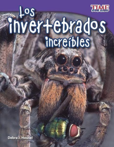 Produktbild: Spa-Invertebrados Increibles