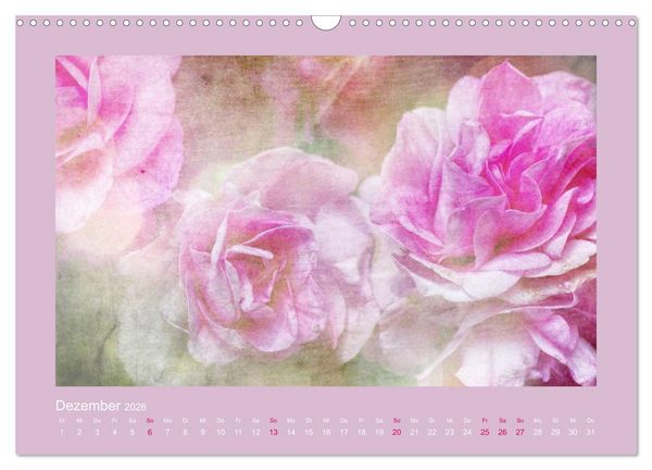 Produktbild: Romantische Rosen (Wandkalender 2026 DIN A3 quer), CALVENDO Monatskalender