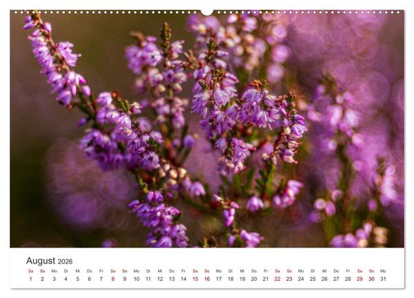 Produktbild: Naturjuwel Haspelmoor (Wandkalender 2026 DIN A2 quer), CALVENDO Monatskalender