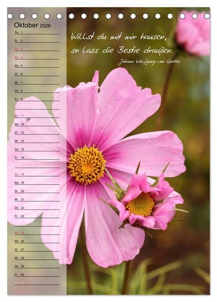 Produktbild: Blumen & Zitate / Geburtstagskalender (Tischkalender 2026 DIN A5 hoch), CALVENDO Monatskalender