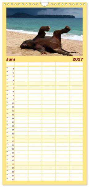 Produktbild: Familienplaner 2027 - Elefanten. Spa&szlig; am Wasser mit 5 Spalten (Wandkalender, 21 x 45 cm) CALVENDO