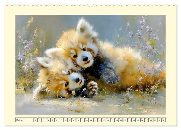 Produktbild: Rote Pandas. Kleine Abenteurer im sanften Waldlicht (hochwertiger Premium Wandkalender 2027 DIN A2 quer), Kunstdruck in Hochglanz