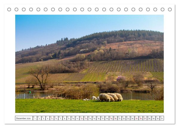 Produktbild: Die Mosel erwacht aus Ihrem Winterschlaf (Tischkalender 2026 DIN A5 quer), CALVENDO Monatskalender