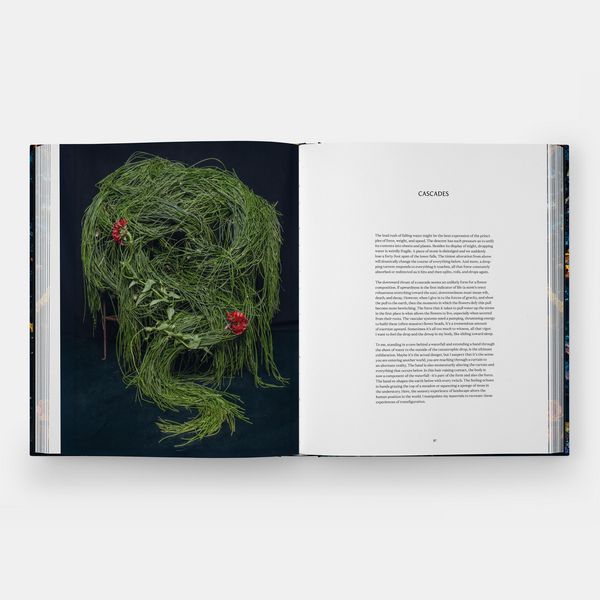 Produktbild: Emily Thompson Flowers