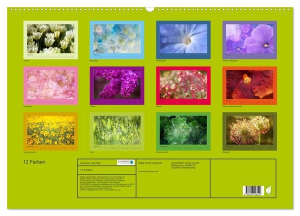 Produktbild: 12 Farben (Wandkalender 2026 DIN A2 quer), CALVENDO Monatskalender