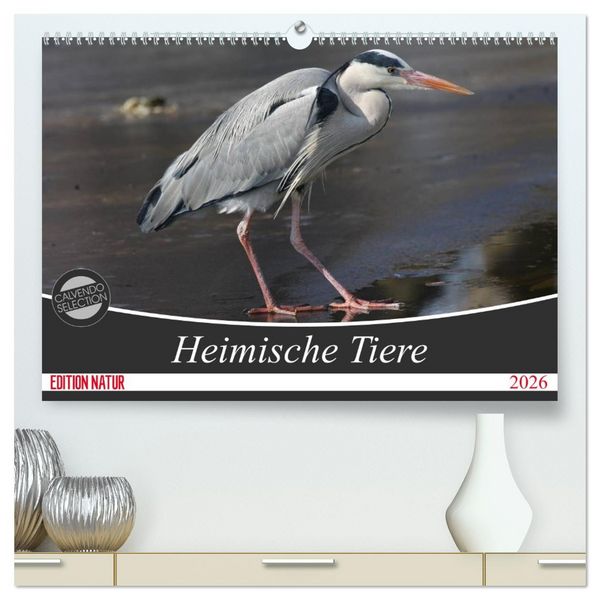 Produktbild: Heimische Tiere (hochwertiger Premium Wandkalender 2026 DIN A2 quer), Kunstdruck in Hochglanz