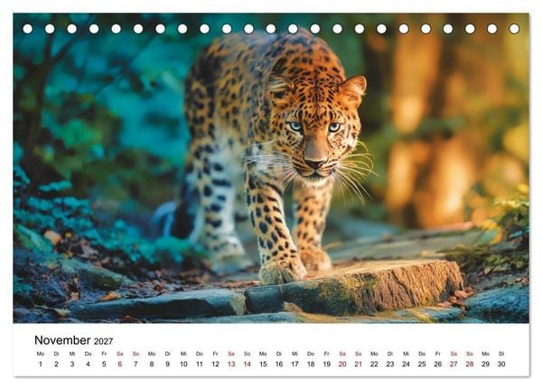 Produktbild: Gefleckte Schatten - Im Bann der Leoparden (Tischkalender 2027 DIN A5 quer), CALVENDO Monatskalender