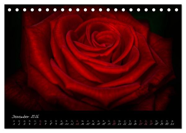 Produktbild: Serenade - Visuelle Musik der Blumen (Tischkalender 2026 DIN A5 quer), CALVENDO Monatskalender