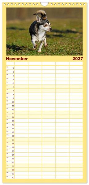 Produktbild: Familienplaner 2027 - Enegieb&uuml;ndel Chihuahua - Temperament auf vier Pfoten mit 5 Spalten (Wandkalender, 21 x 45 cm) CALVENDO